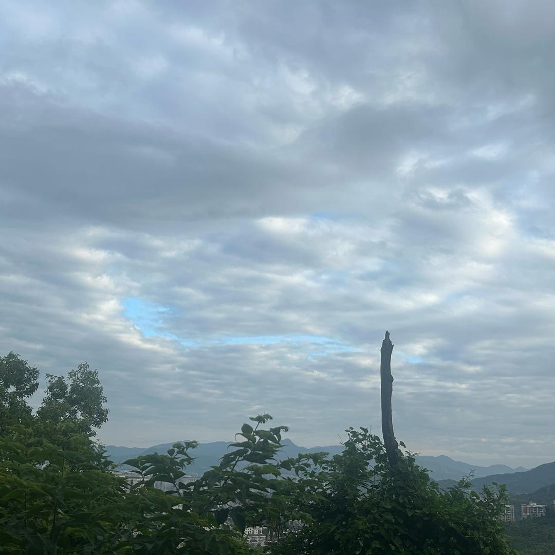 福元昌普洱茶（苟文凯）