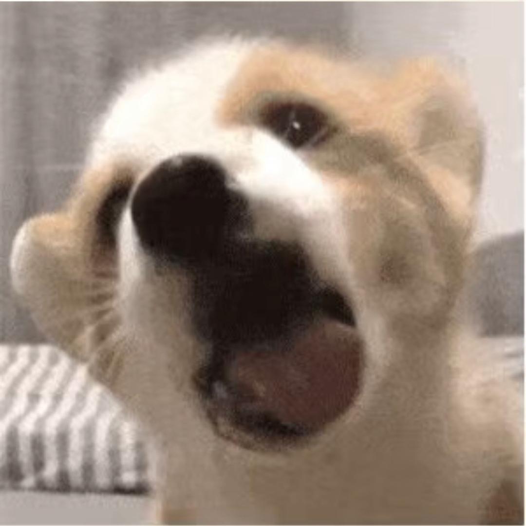 ..·..