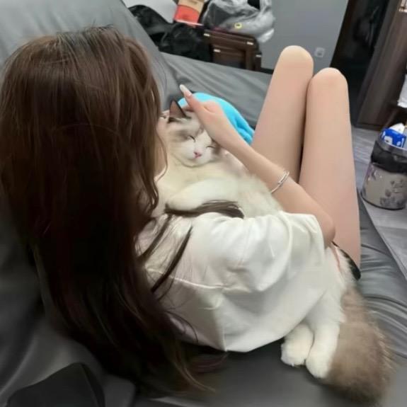 陳 小陳./🧚‍♀️