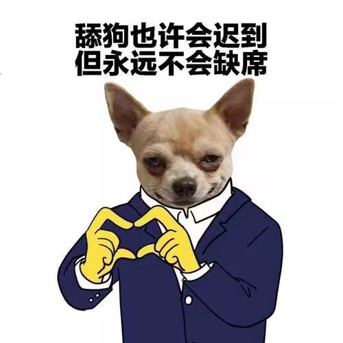 舔狗说房传媒工作室
