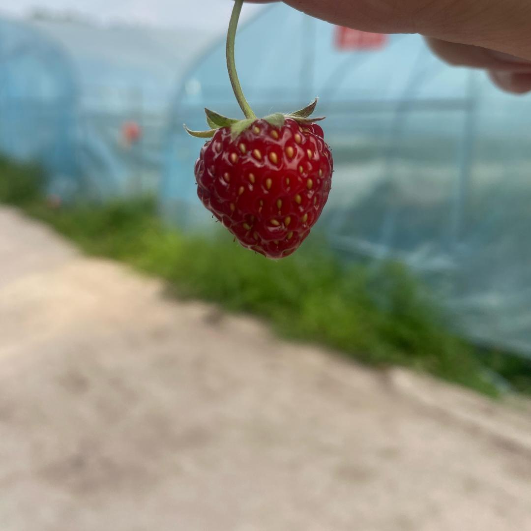 ᥫᩣ ᵕ̈ Ｙｕ～婷