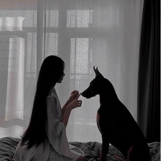 知意🌙