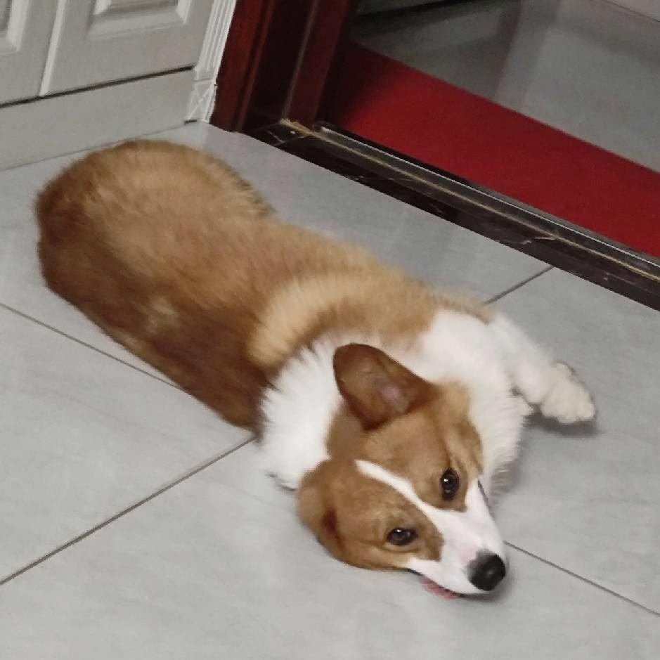 张总（见过DT）