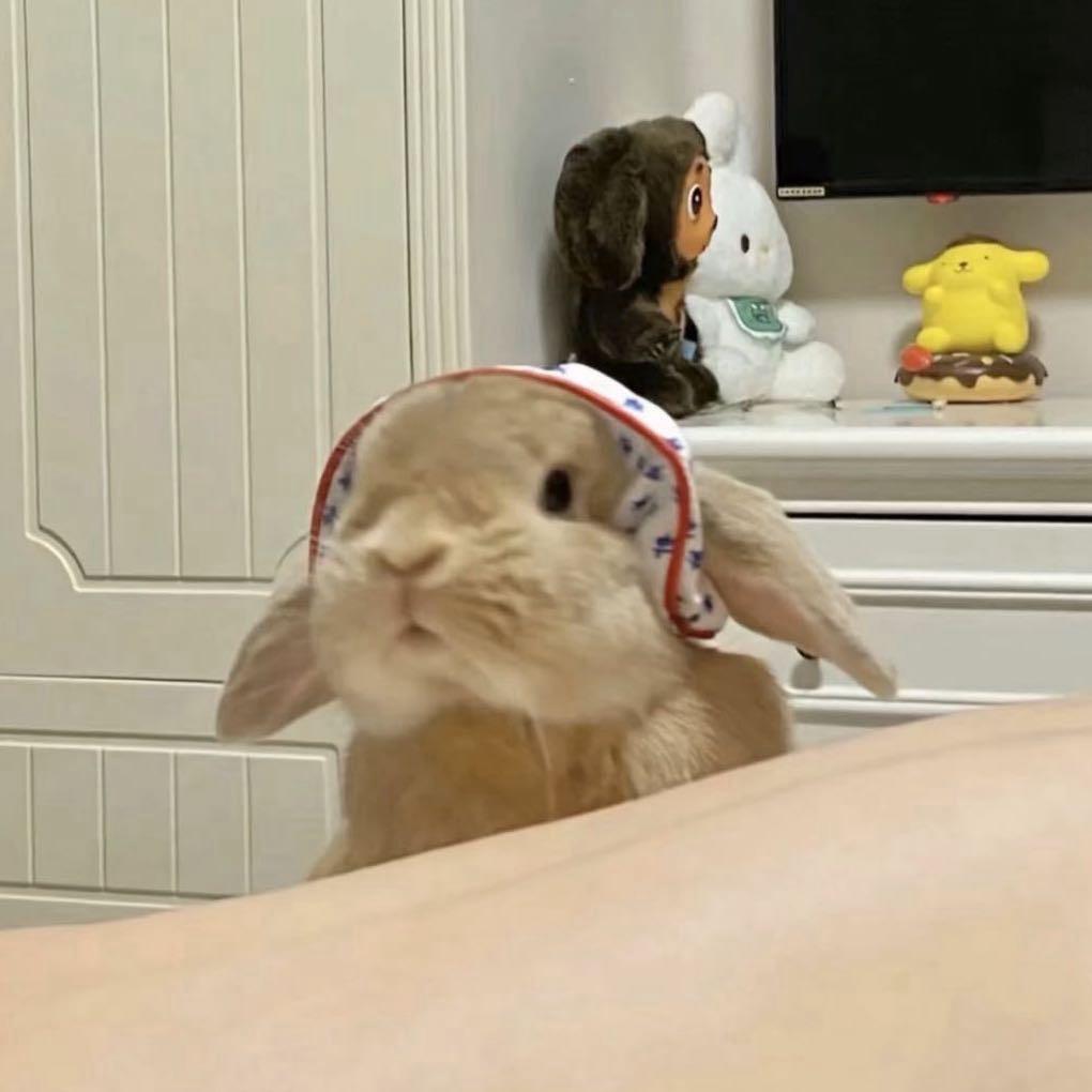超级小菜-
