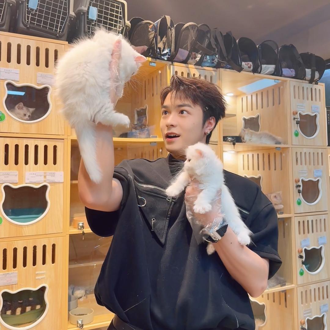 深圳猫狗小站-王嘉