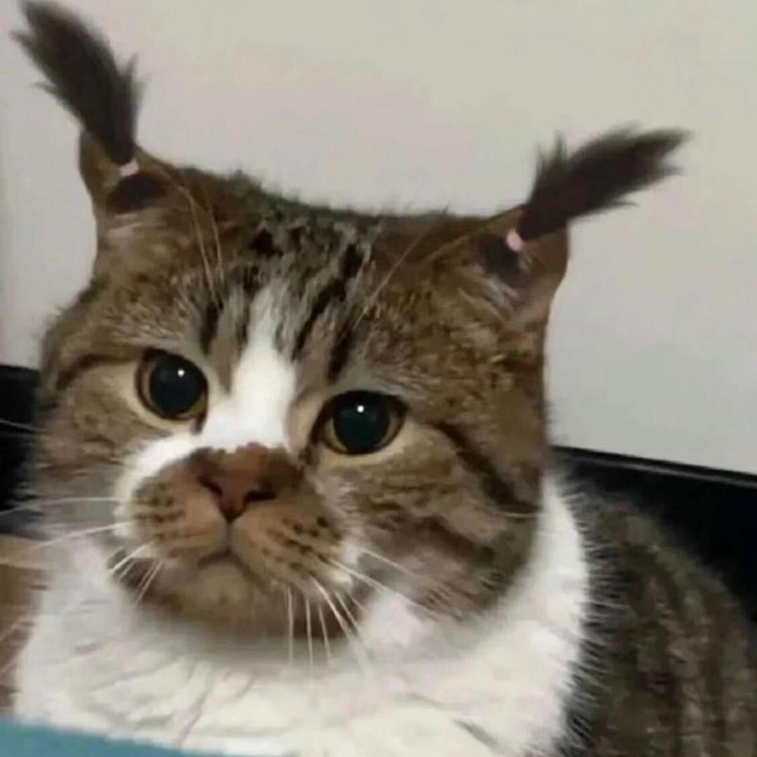 吃橘子不吐葡萄皮