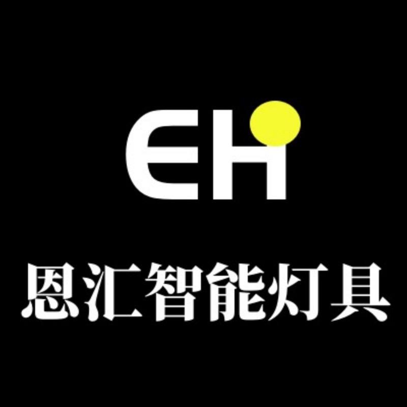恩汇智能灯具