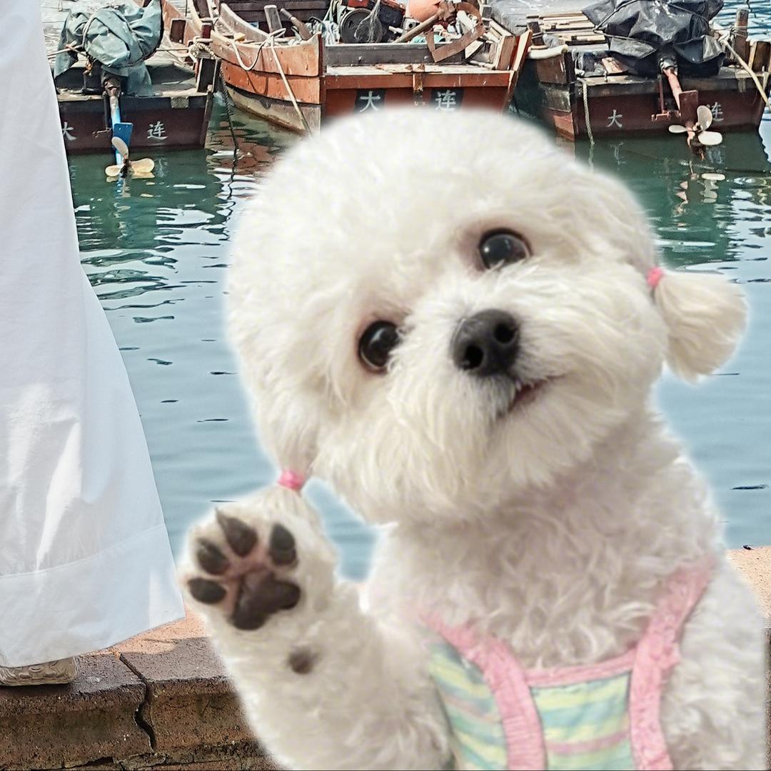 白板日记🫧