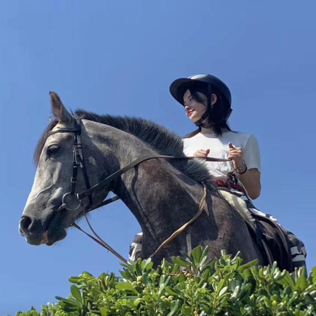 我可爱的喜子🧸ྀི