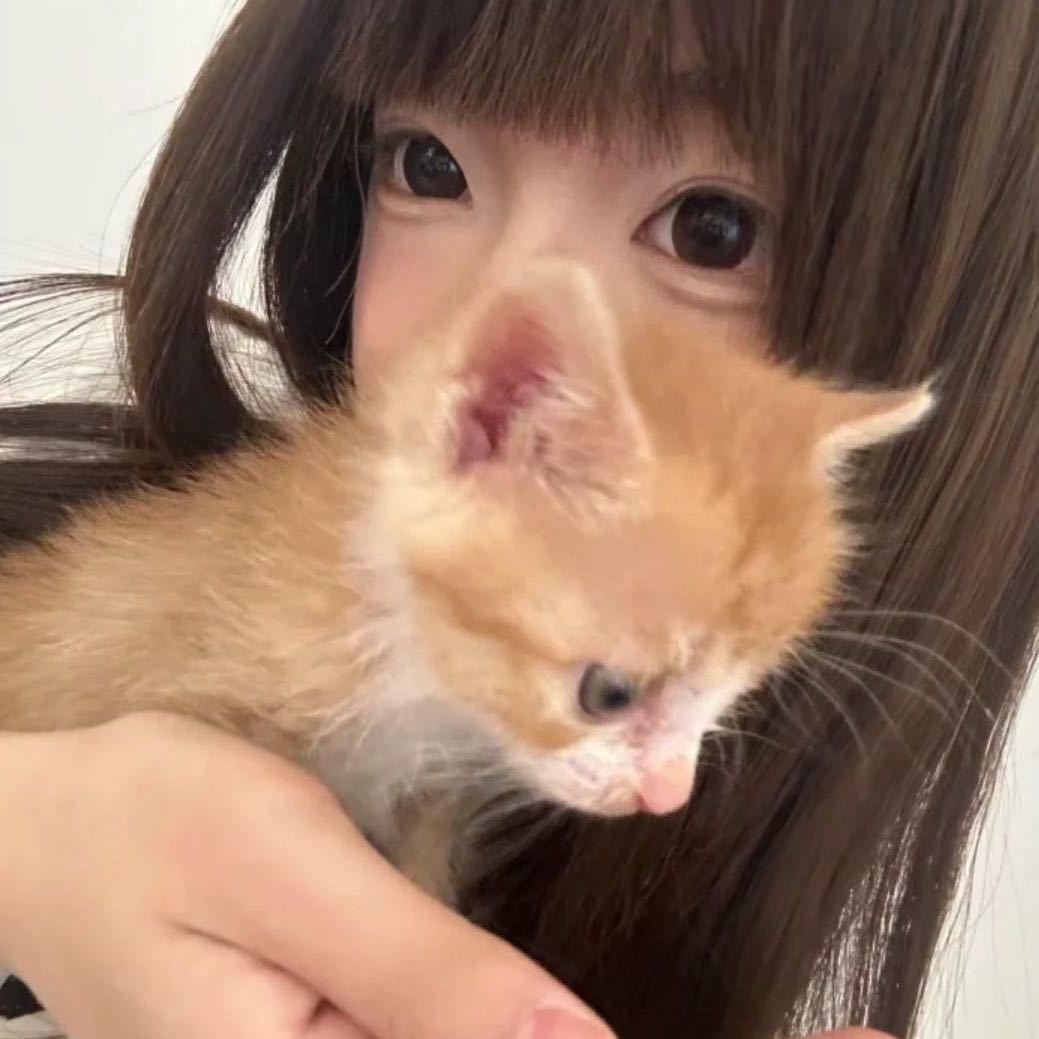 我不是阿琳