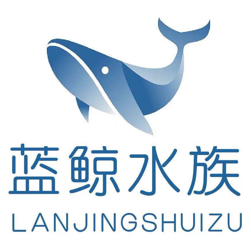 @道口•蓝鲸水族•小谷