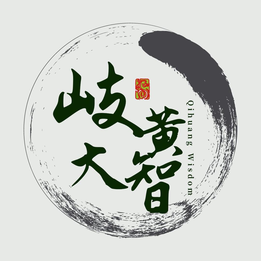 重庆岐黄数智科技公司