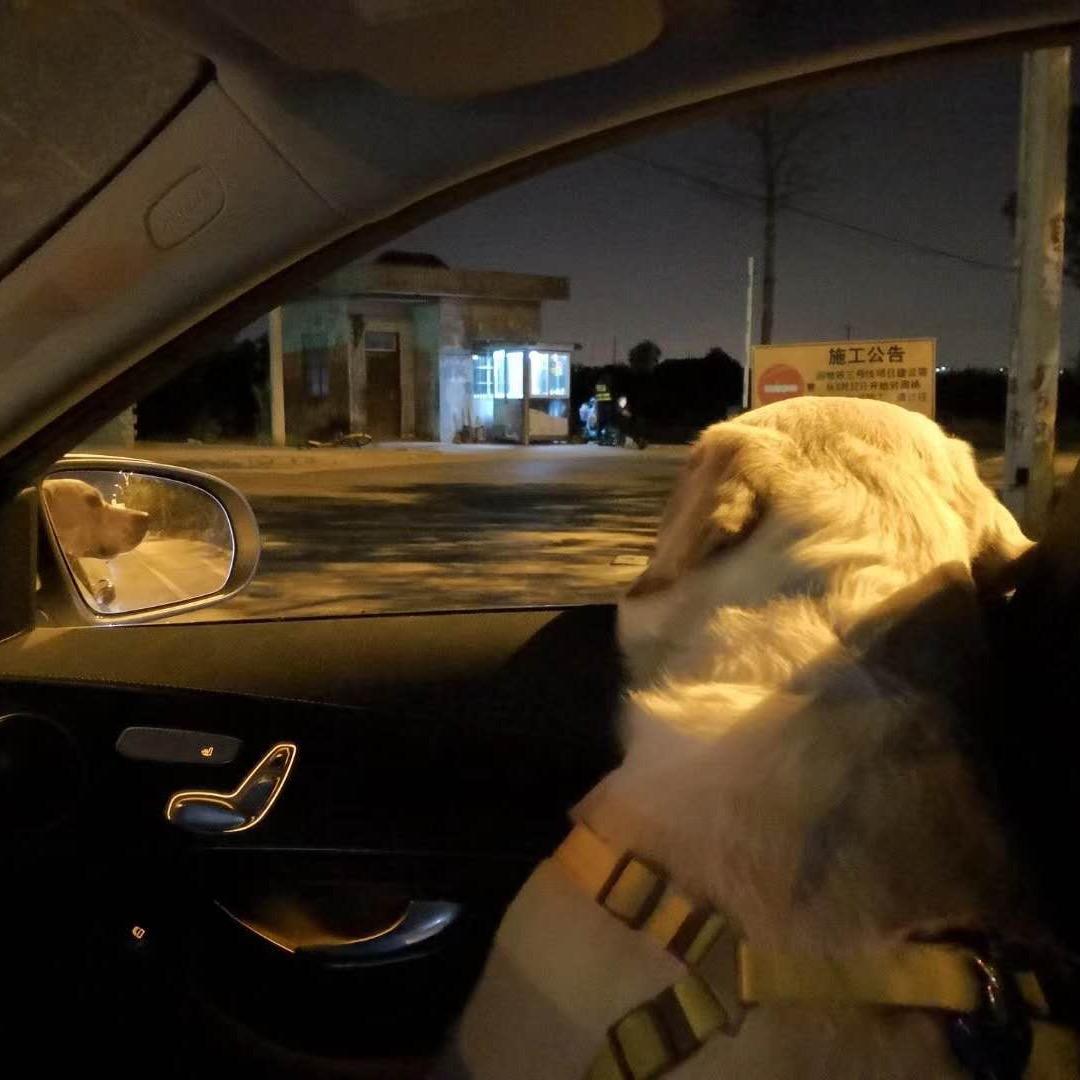 隼