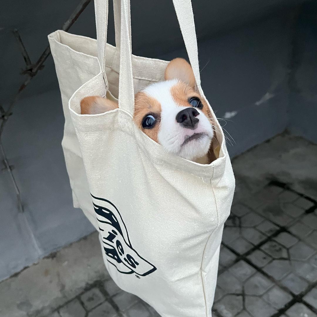童