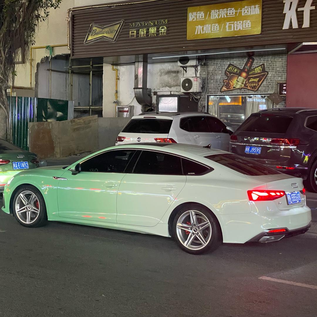 小诗姐姐的乌龟哥哥