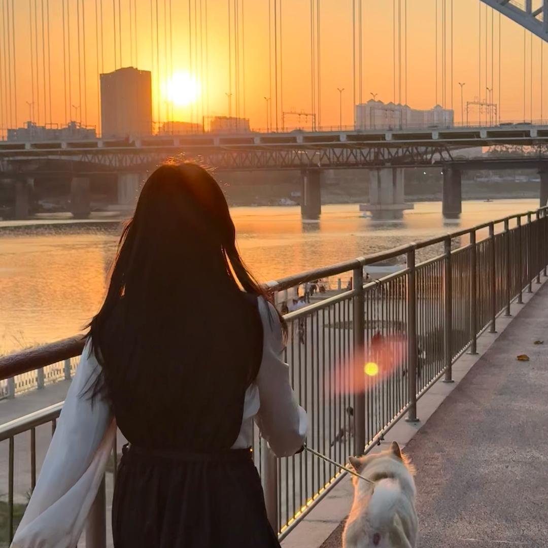 爆拳披萨张抓大鹅