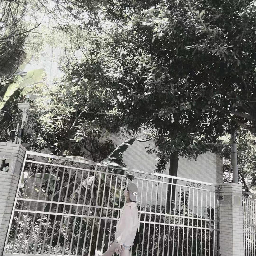 @再无我们💔