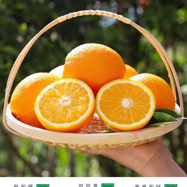 橙心橙意（🍊）