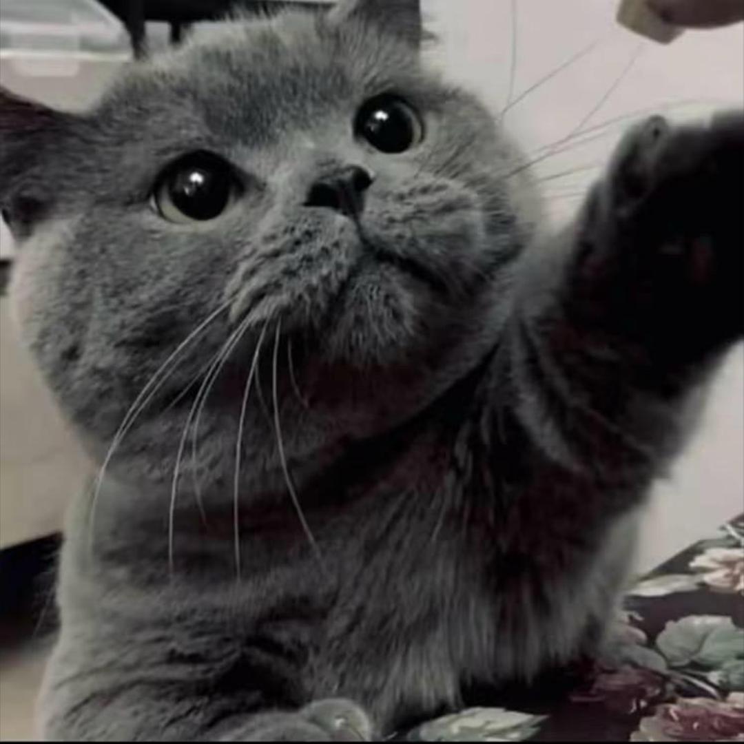 ㅤㅤㅤㅤ        ㅤㅤㅤ