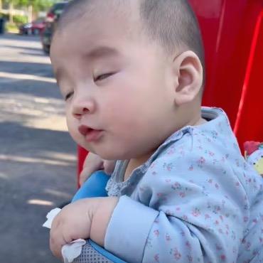 🐲家有小宝贝