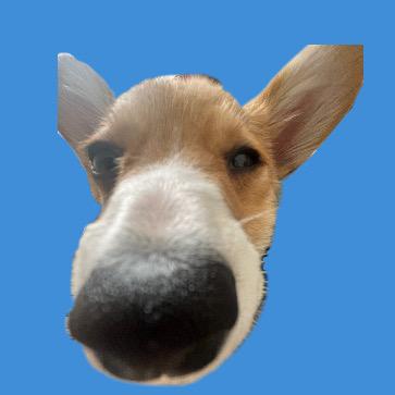 无敌小强强（美甲版）