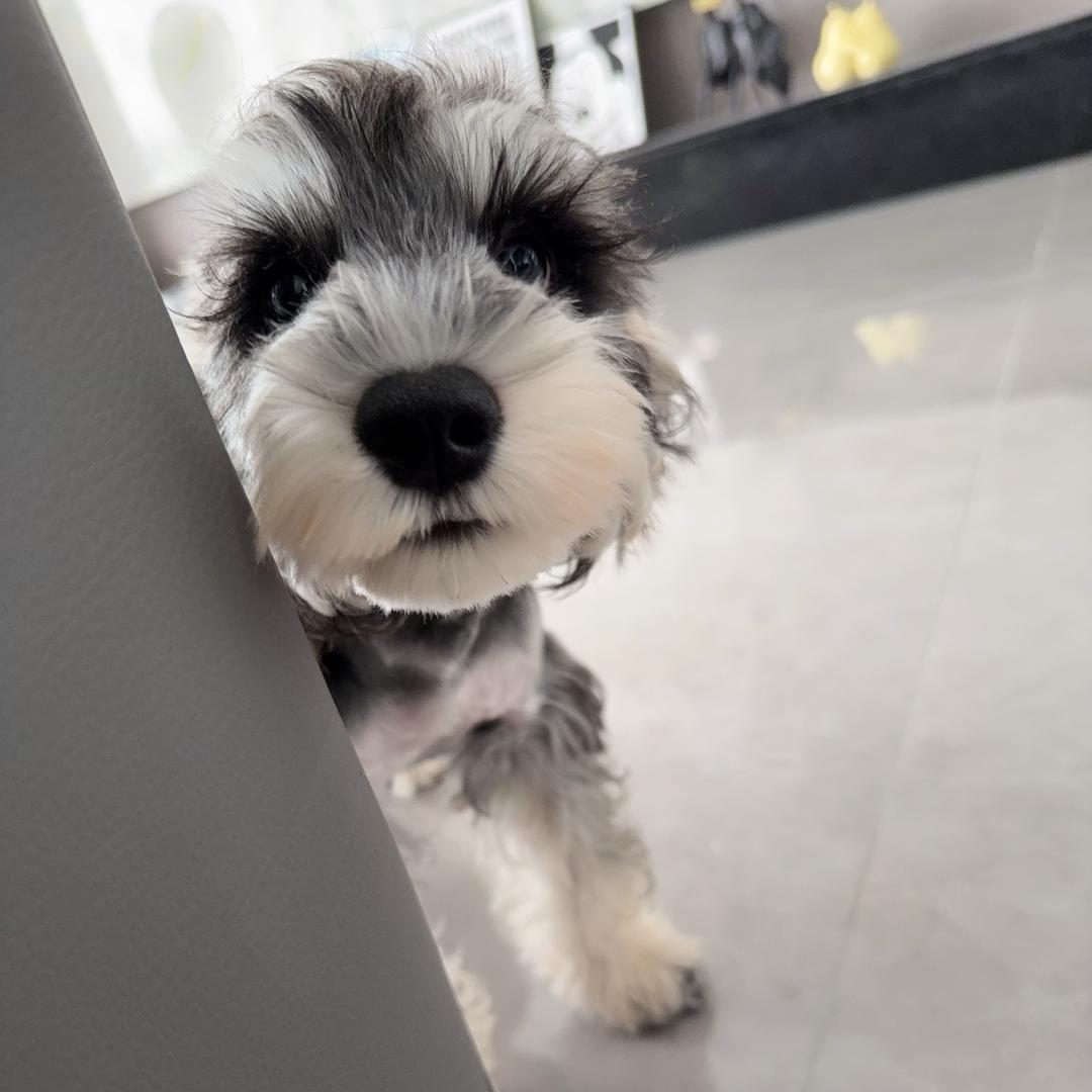 ௸྄ིོུ高高คิดถ