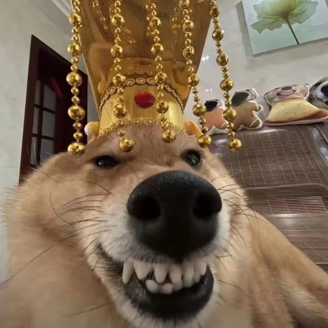 ⁺✞豆浆重度依赖ɞ✟₊