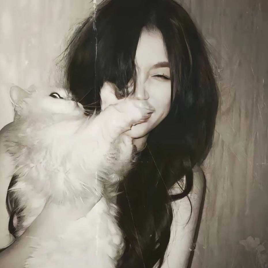 妙脆脆脆鲨