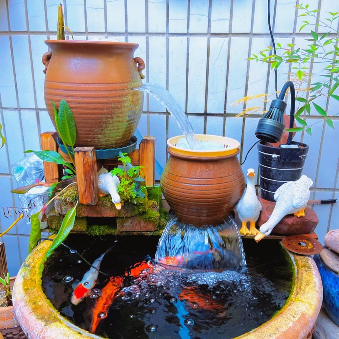 水之鱼