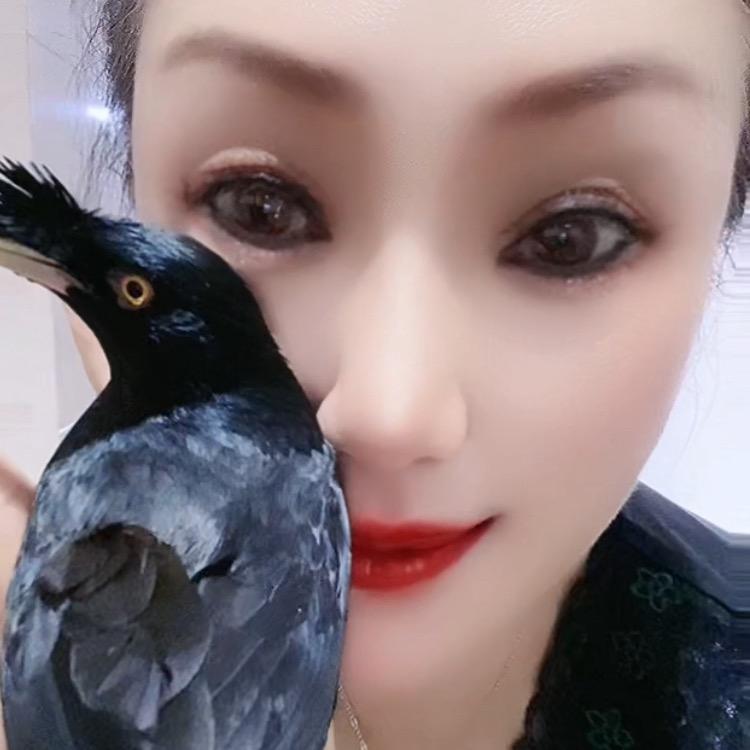 宁慧（好物分享）