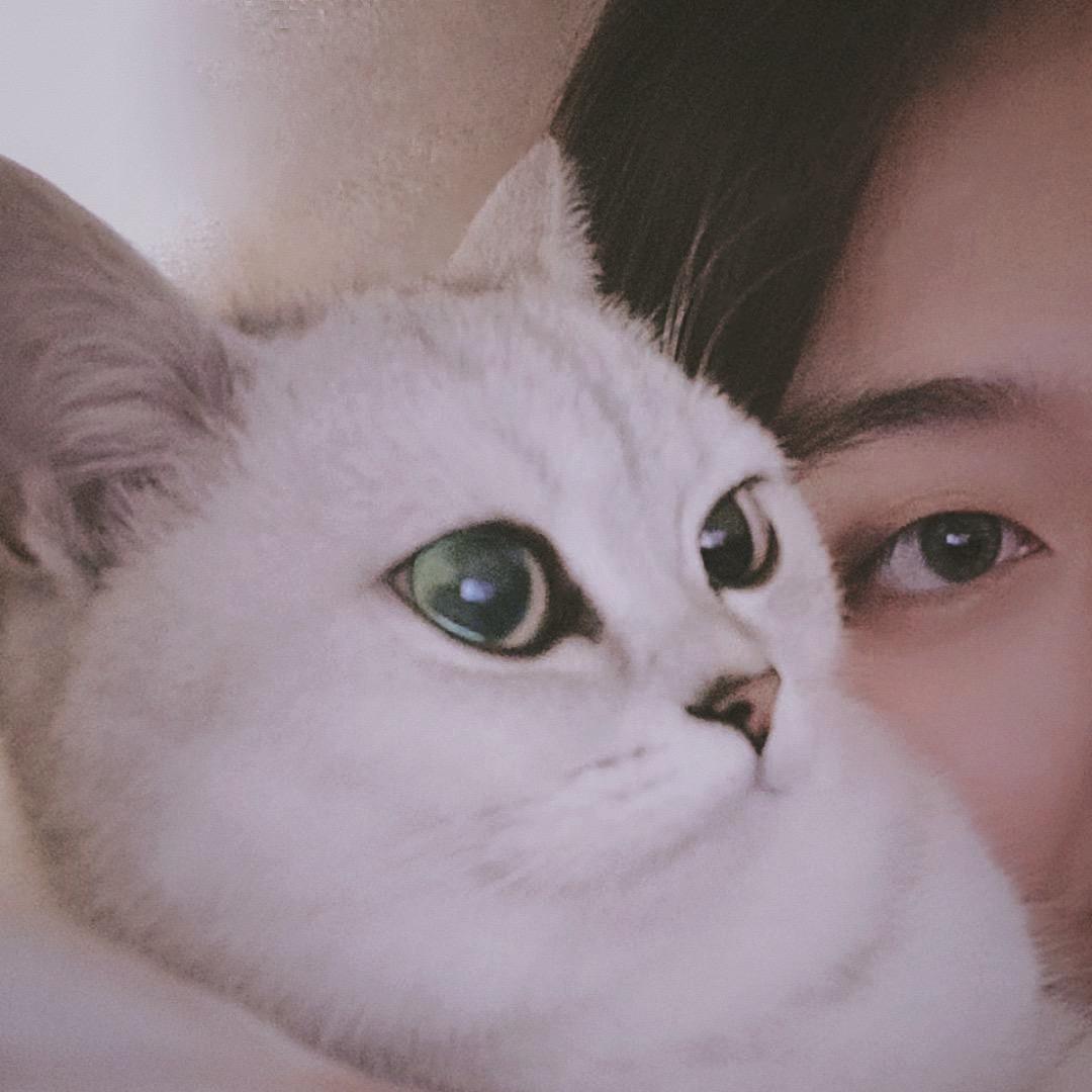 惆怅的小野马