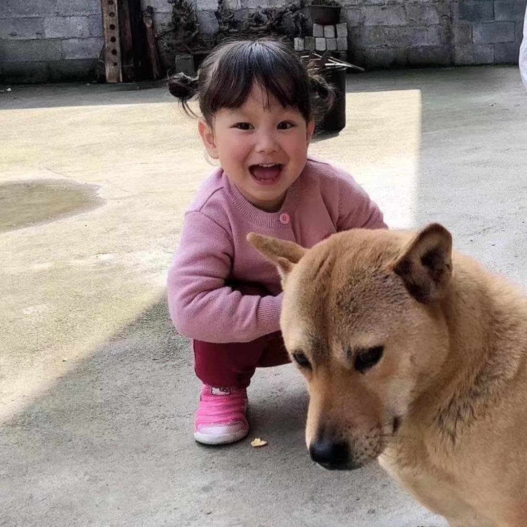 燕子