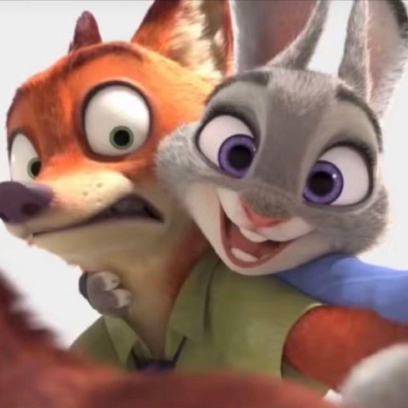 教历史小安老师吖