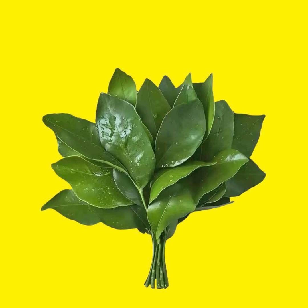 小艾