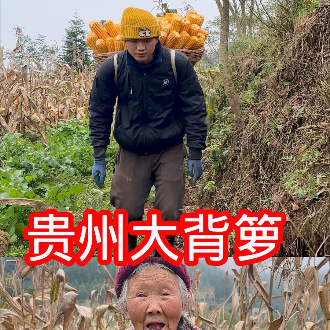 小贵⚜️农村人