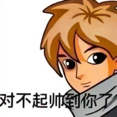 对不起帅到你了