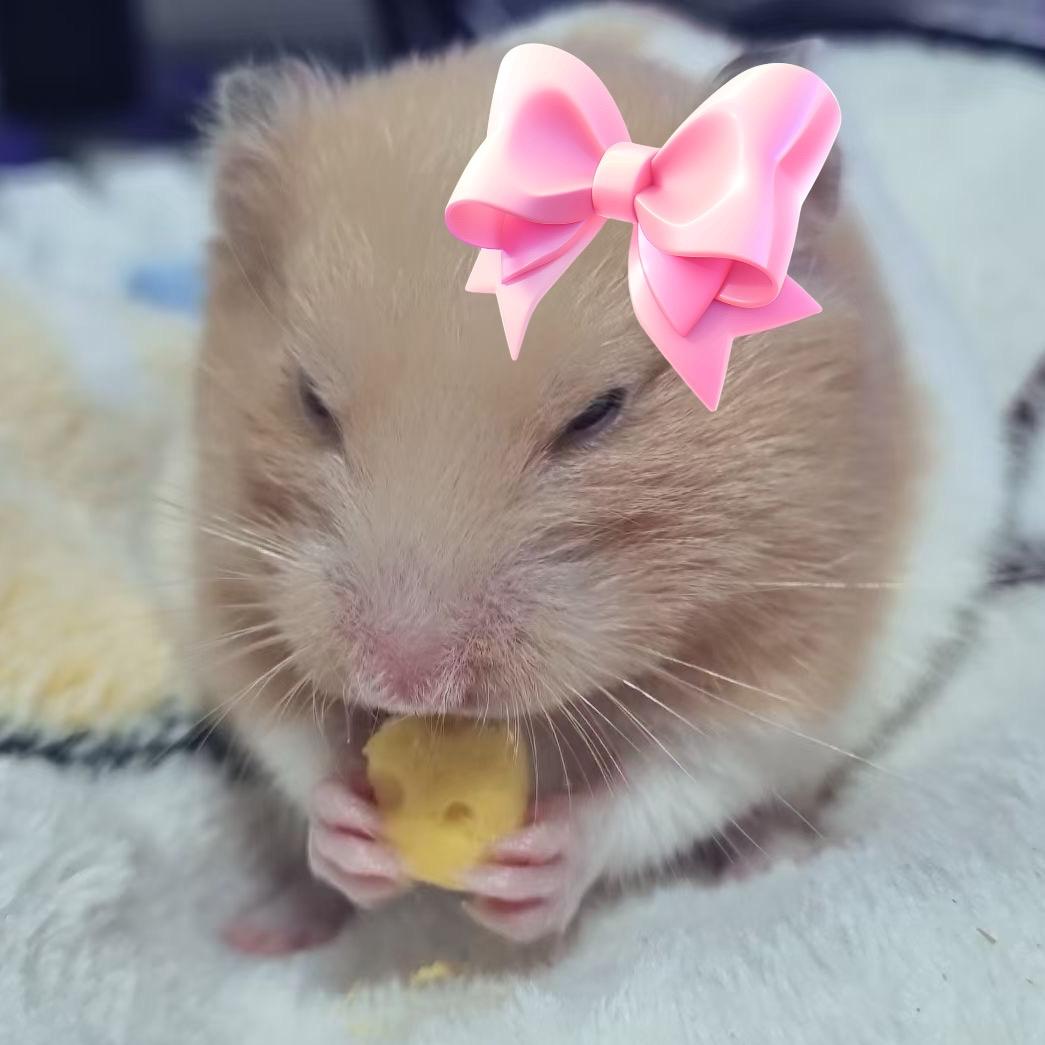 我！小黄🍬