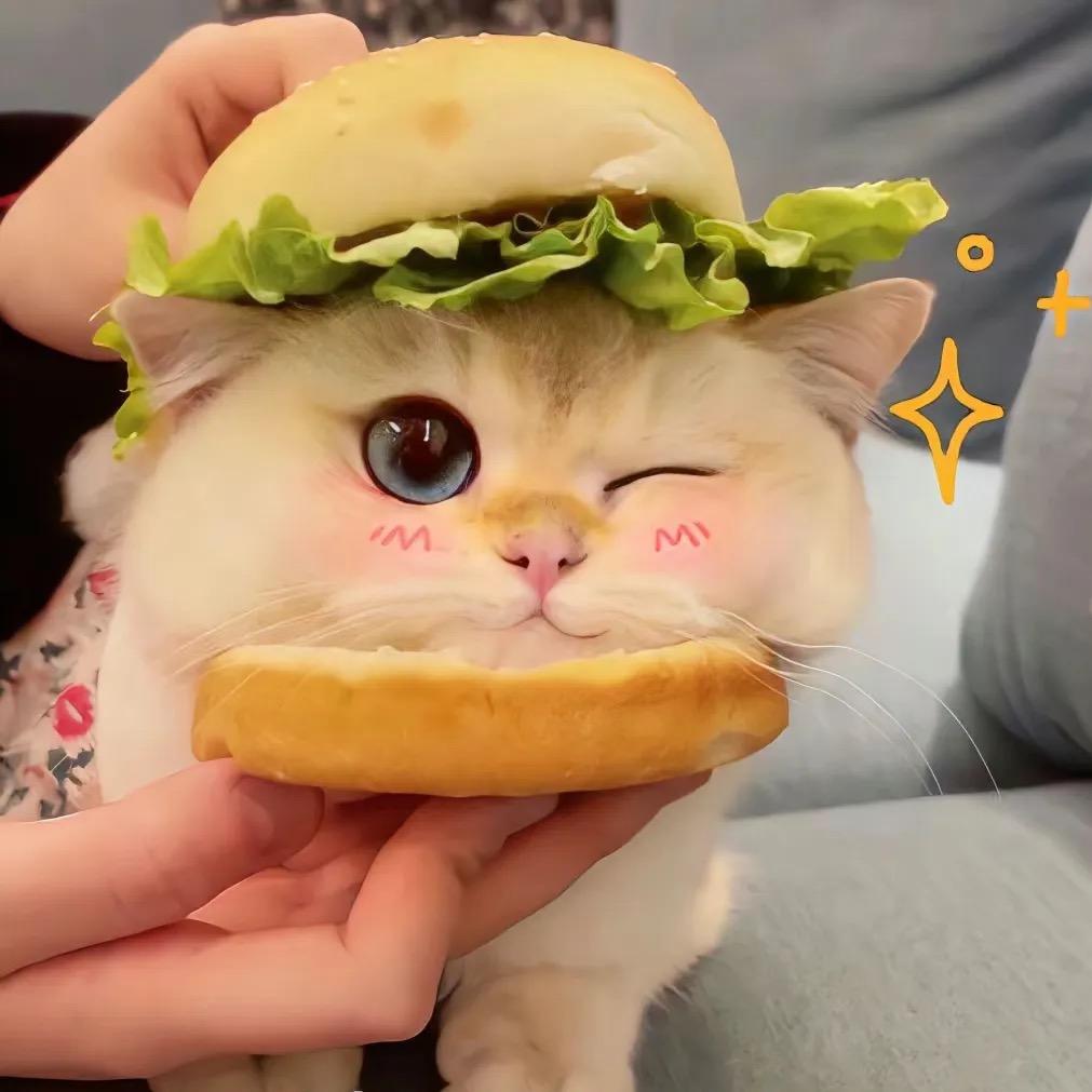 一只幸运猫💫