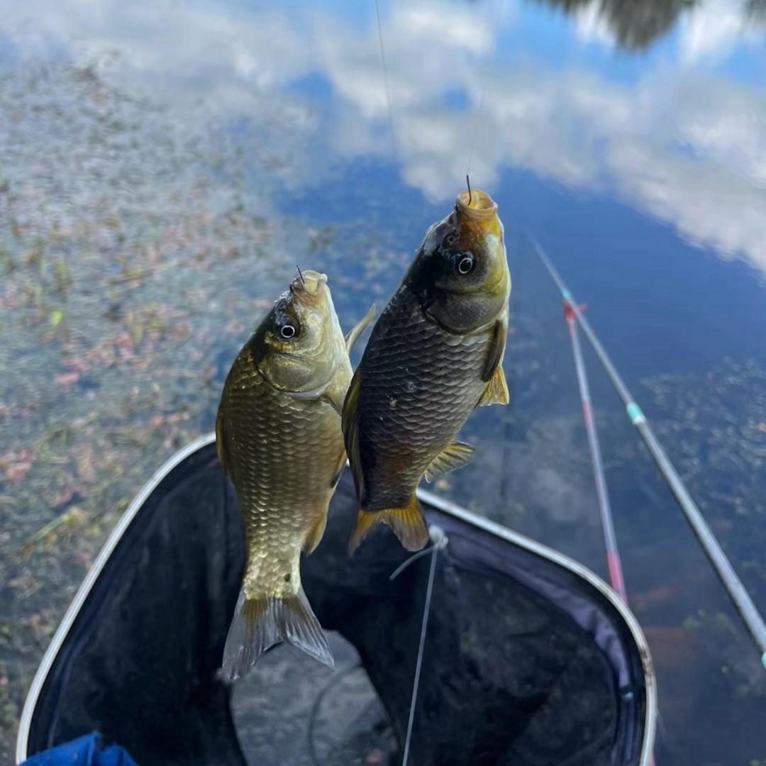 小崔说钓🐟