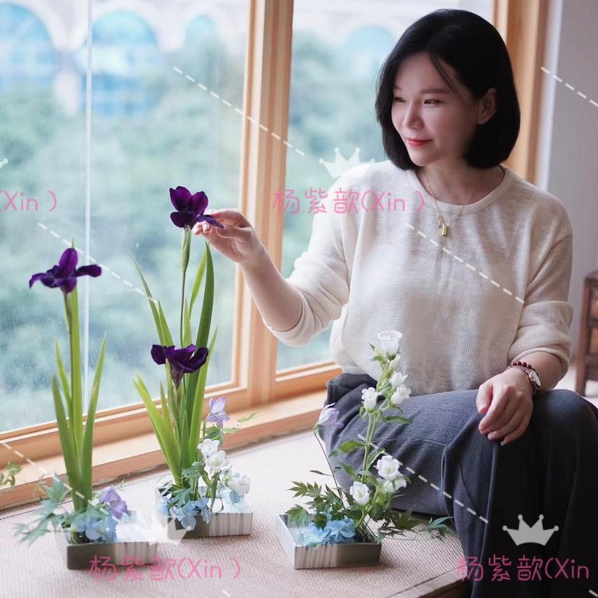 杨紫歆