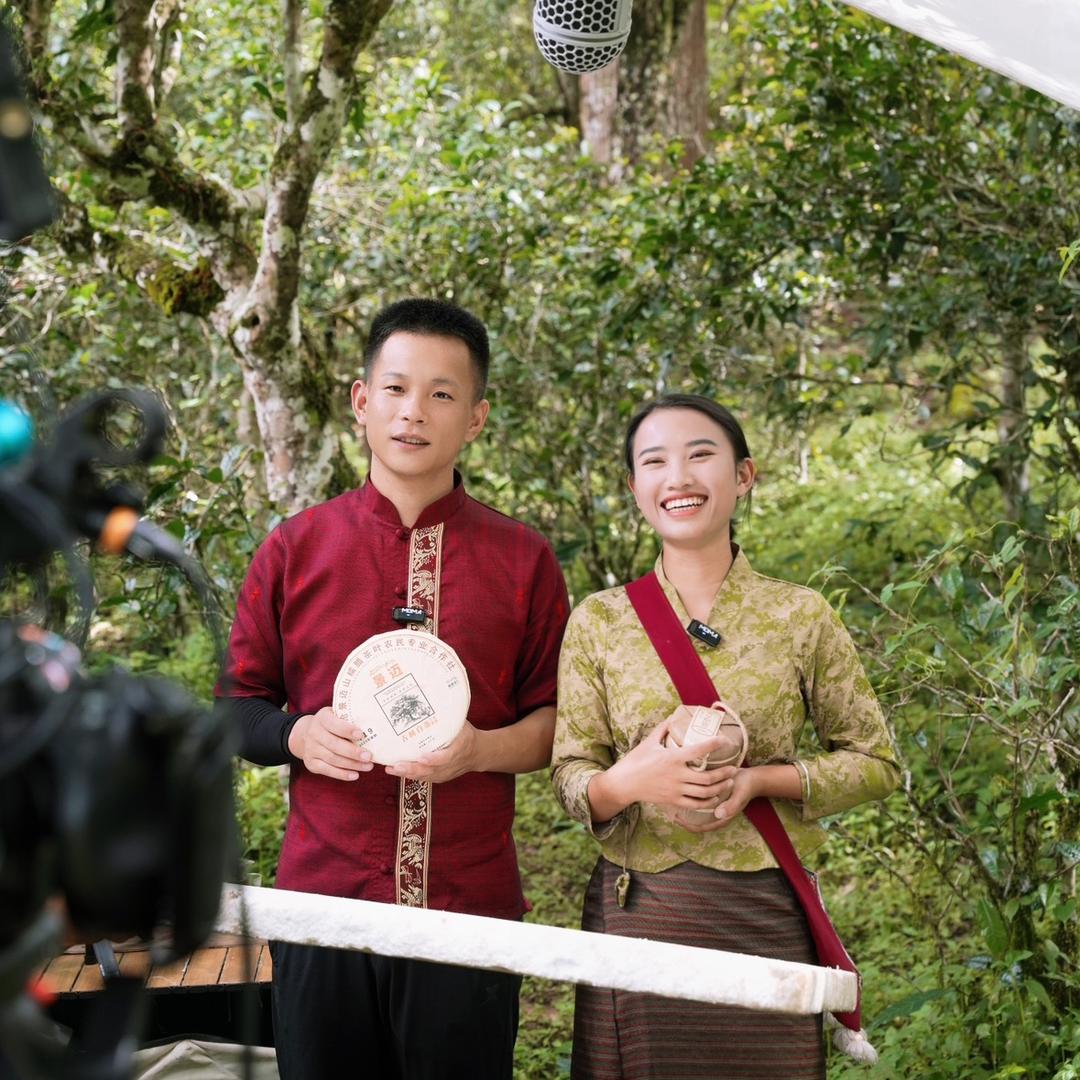 景迈山糯腊茶厂-大雄