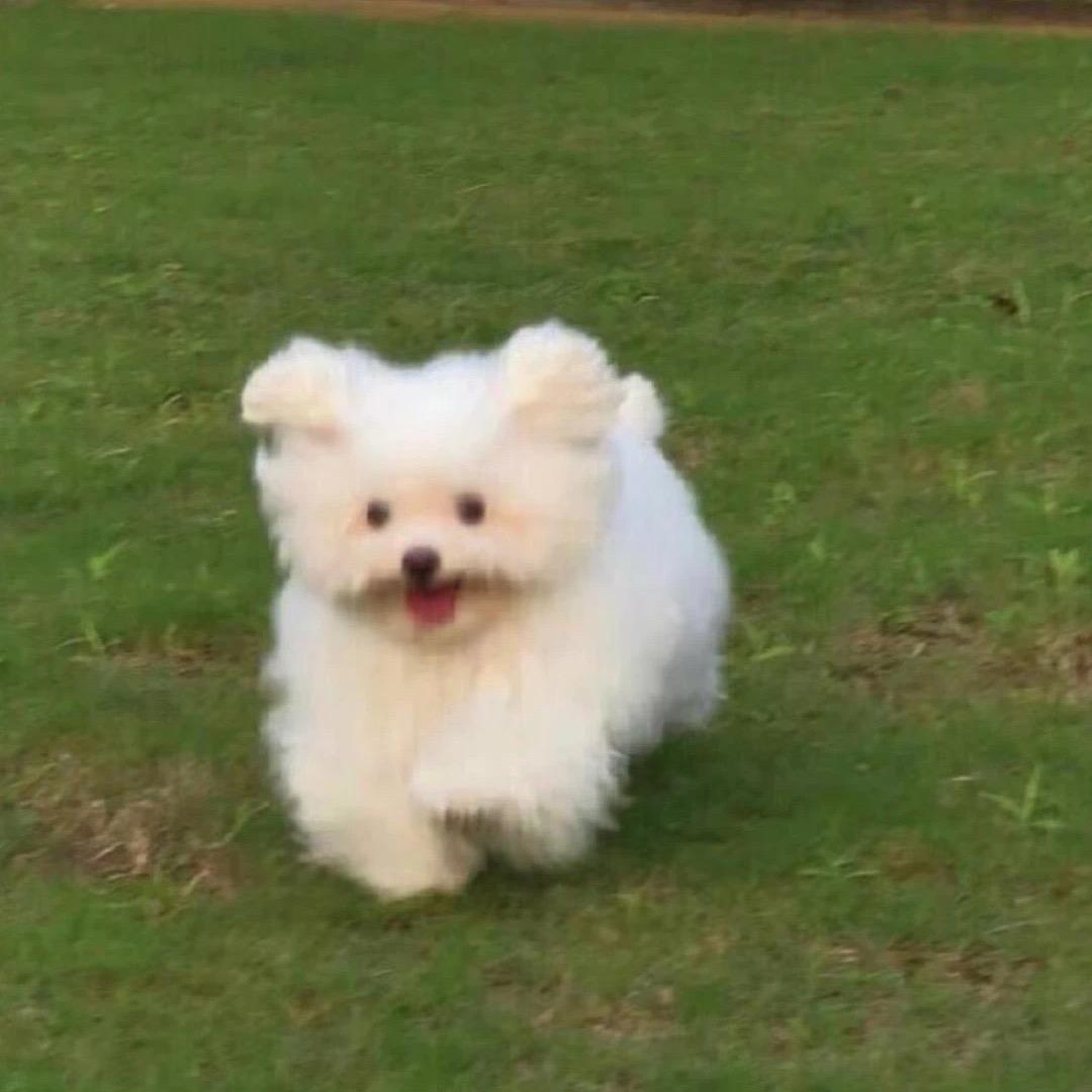 好饿