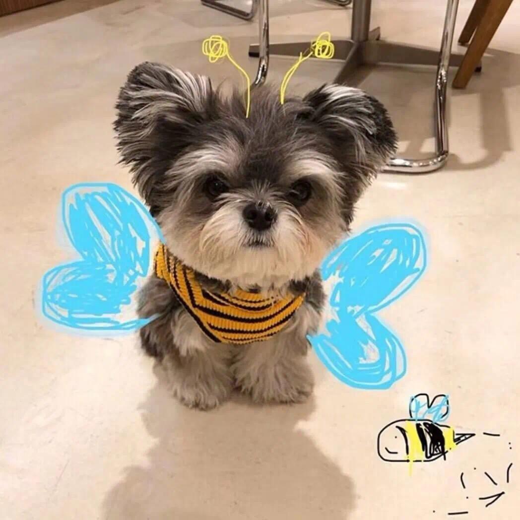 睡不醒大王