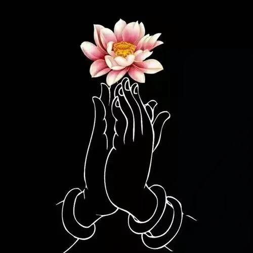 菩提心🪷