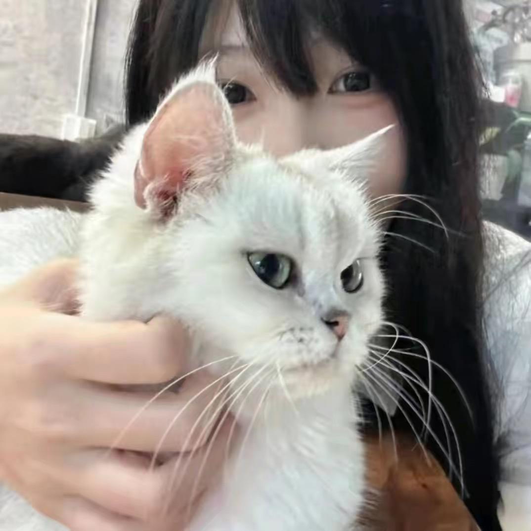 小唧宝宝