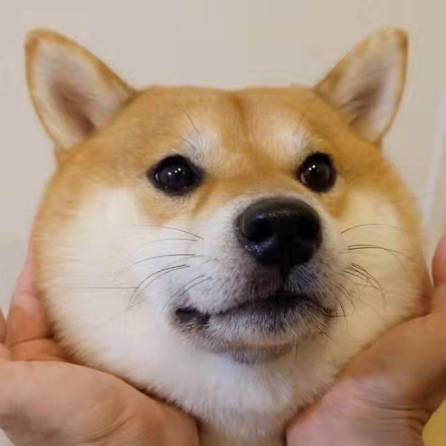 🌈小远~