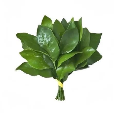 ·