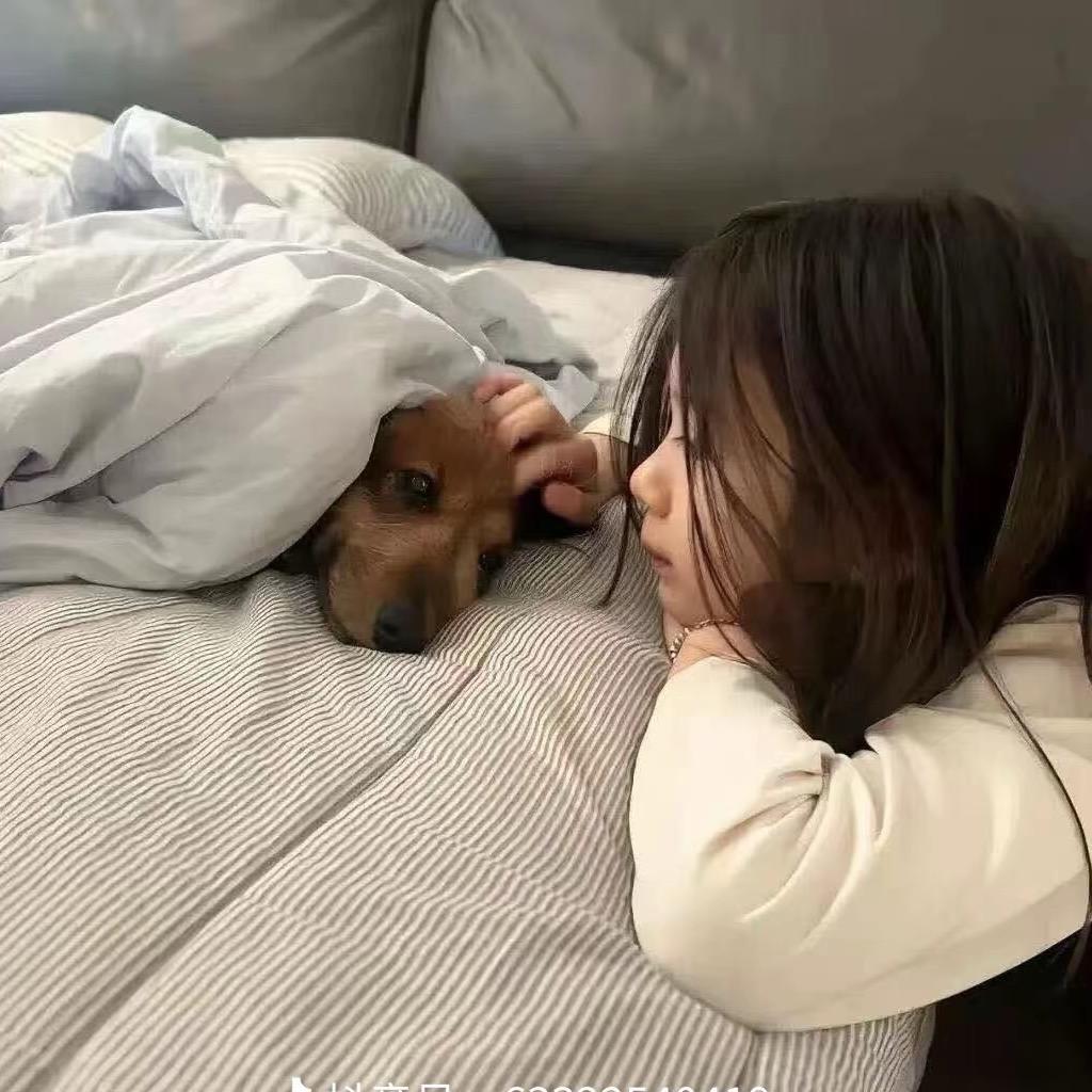 ❥ღ睡个懒觉º