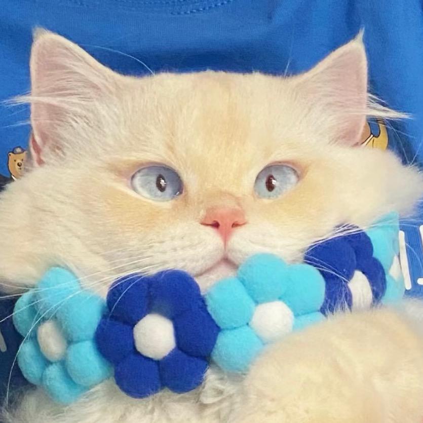 炸鸡奶茶小蛋糕