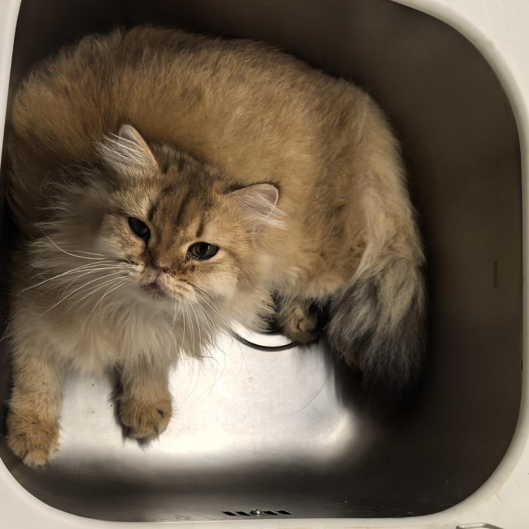 其实也没多不舍